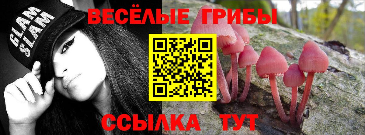 Мурманск  Псилоцибиновые грибы Cubensis  даркнет сайт  Вход с VPN 