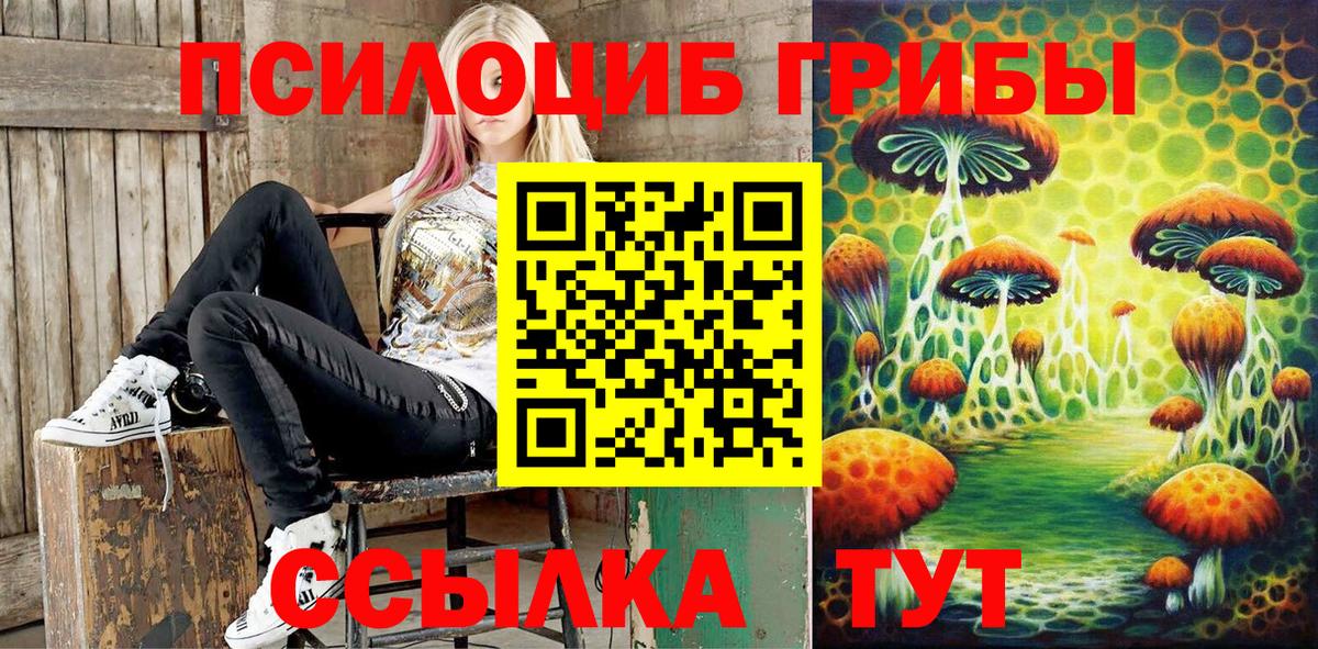 Псилоцибиновые грибы мицелий Мурманск